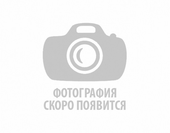 Nola / Нола