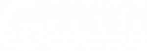 Логотип: Gussi